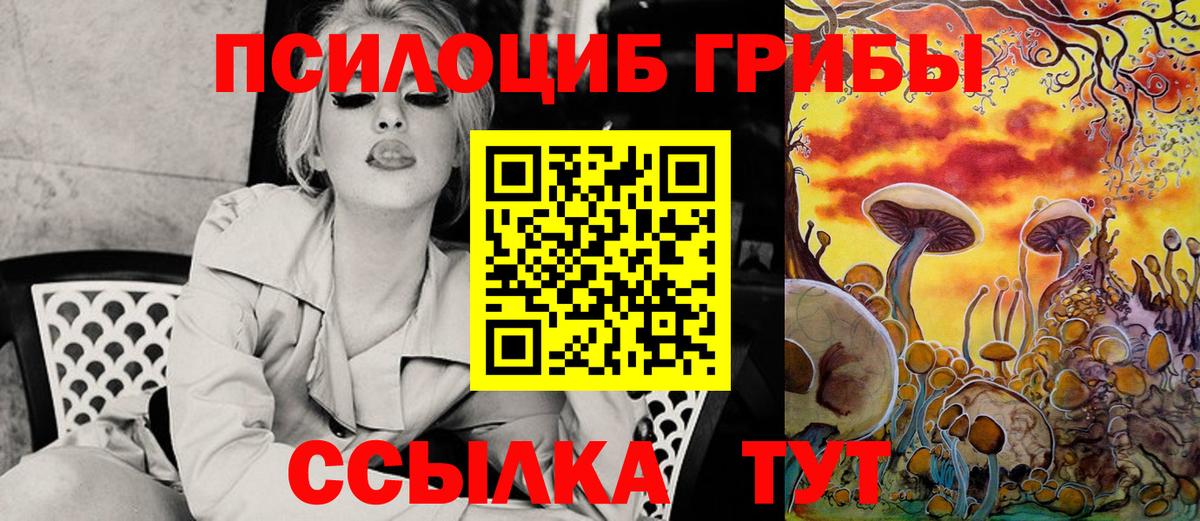 Псилоцибиновые грибы мухоморы  Вход с VPN  Унеча 