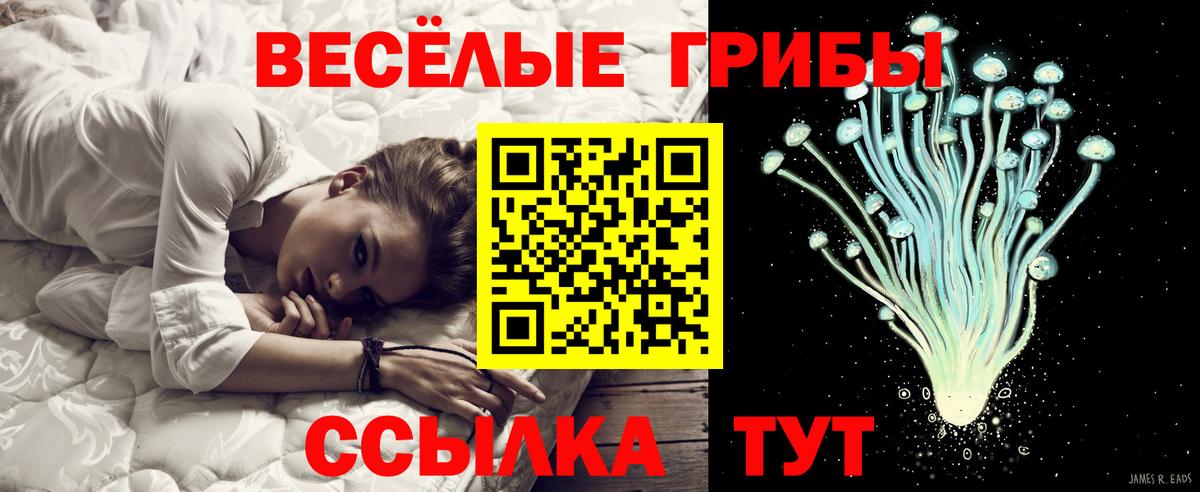 Галлюциногенные грибы Cubensis Унеча